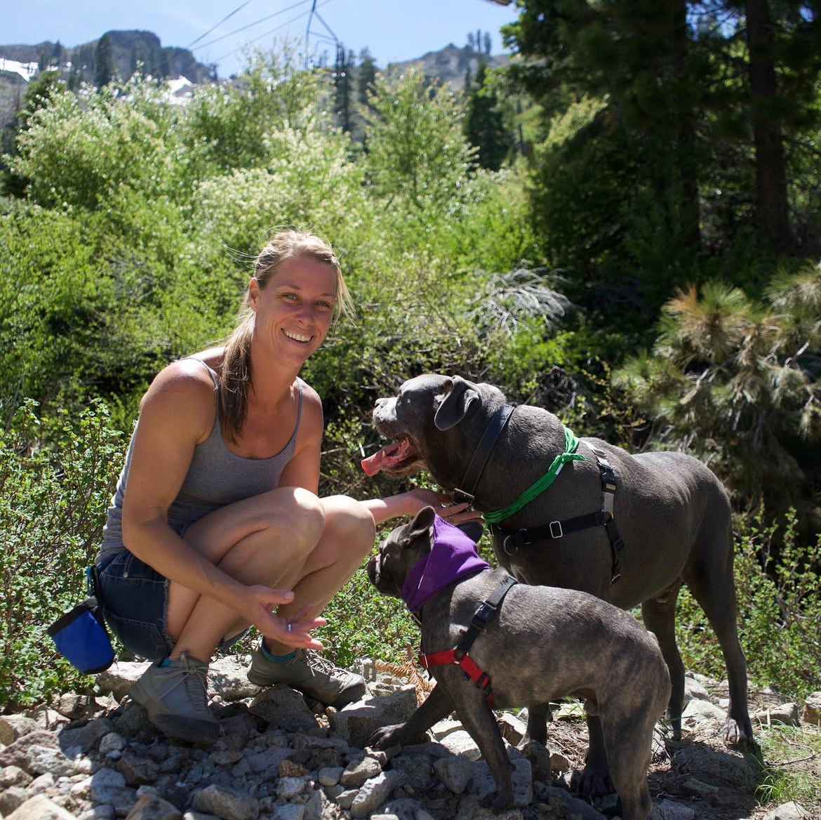 Woman kneeling to love on two leashed dogs in a sunny forest clearing. Southern California Pet Sitting 