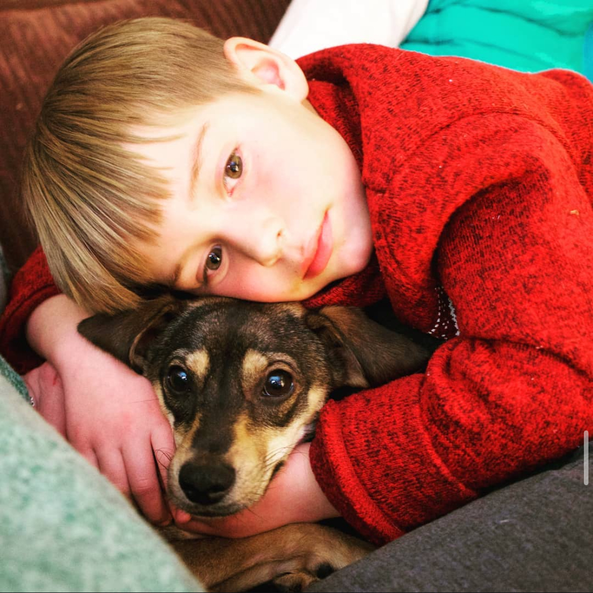 Little boy in red sweater cuddles with a small Chihuahua. Southern California Pet Sitting 