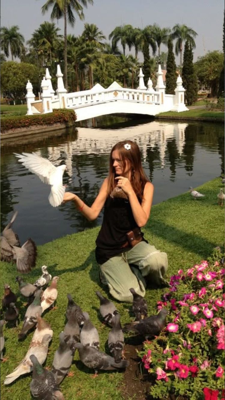 Woman in a park has a white dove on her hands with other pigeons around. There's a white bridge in the background and a canal running by. Southern California Pet Sitting 