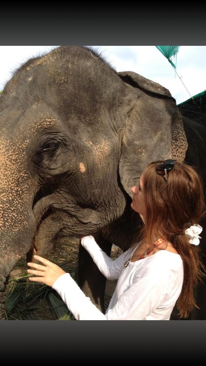 Southern California Pet Sitting . woman looks into the eye of an elephant while touching its head and face. 