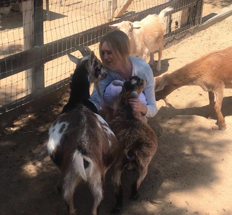 Woman gently tending to goats and llamas in a fenced animal sanctuary.Southern California Pet Sitting 