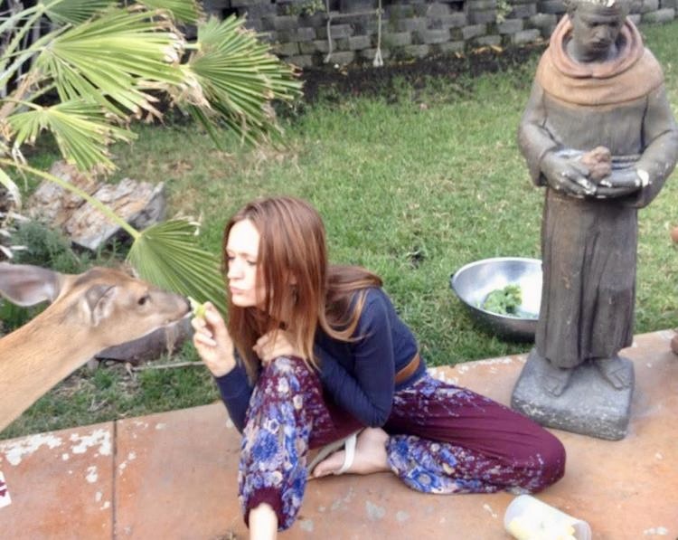Southern California Pet Sitting . Woman gently connecting with a deer in a peaceful garden moment.