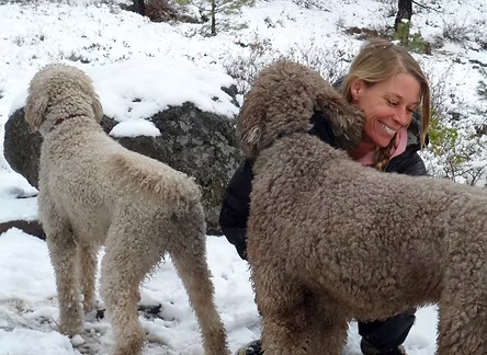 Circular thumbnails of smiling pets with testimonials from Alena K. and Anita W. in San Francisco and Tahoe, both grateful for Aeray’s loving, last-minute dog care and the deep reassurance of knowing their pets were in excellent hands.