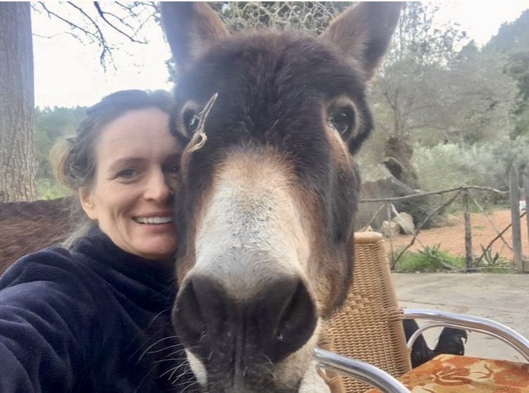 Playful donkey selfie with woman smiling beside him during a farm sit.
Southern California Pet Sitting 