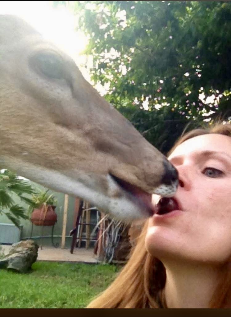 Woman in's in to share a Cherry with a deer. The cherries in her mouth. Southern California Pet Sitting 